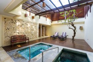 Jacuzzi & Plunge Pool