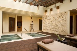 Jacuzzi & Plunge Pool