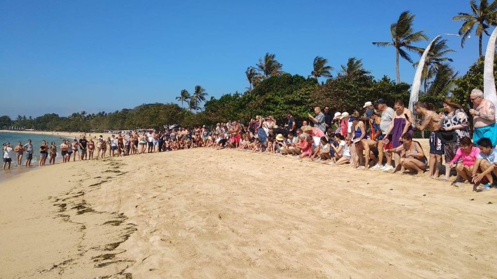 Baby Turtles Release at Nusa Dua Beach Hotel & Spa