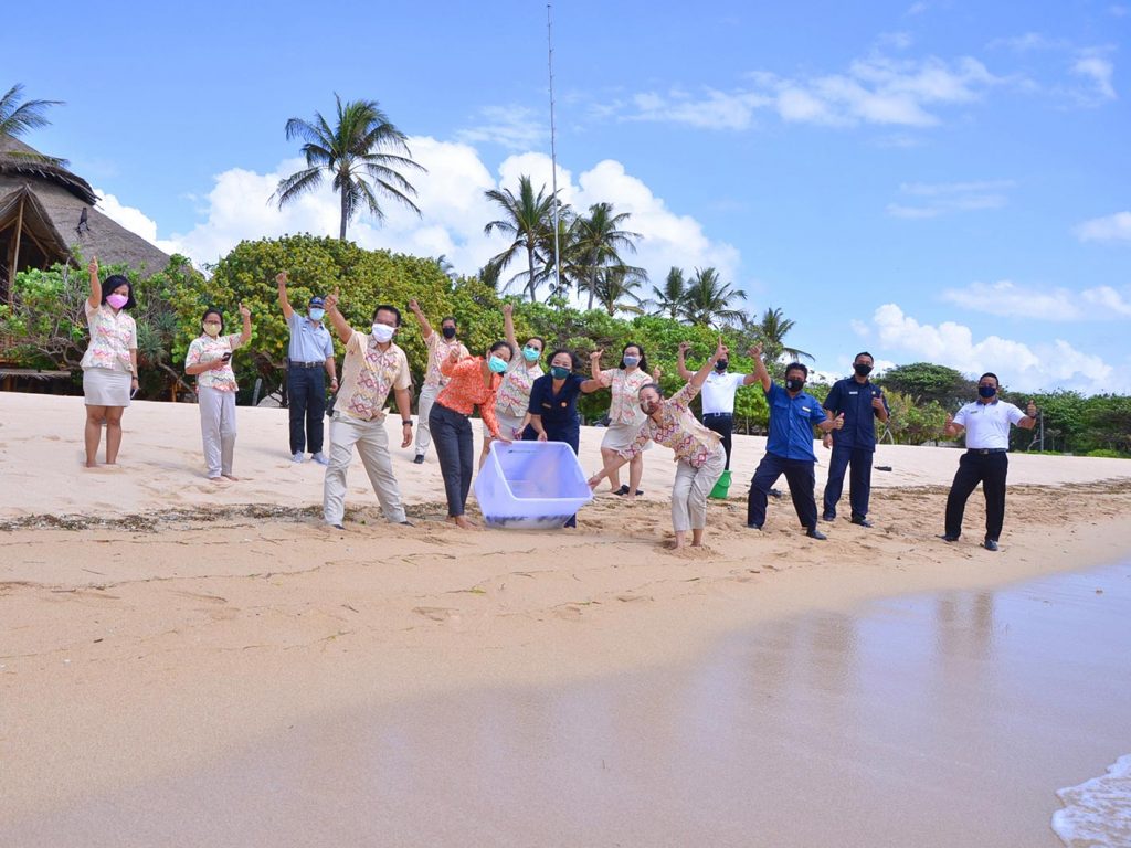 Baby Turtles Release at Nusa Dua Beach Hotel & Spa, Bali